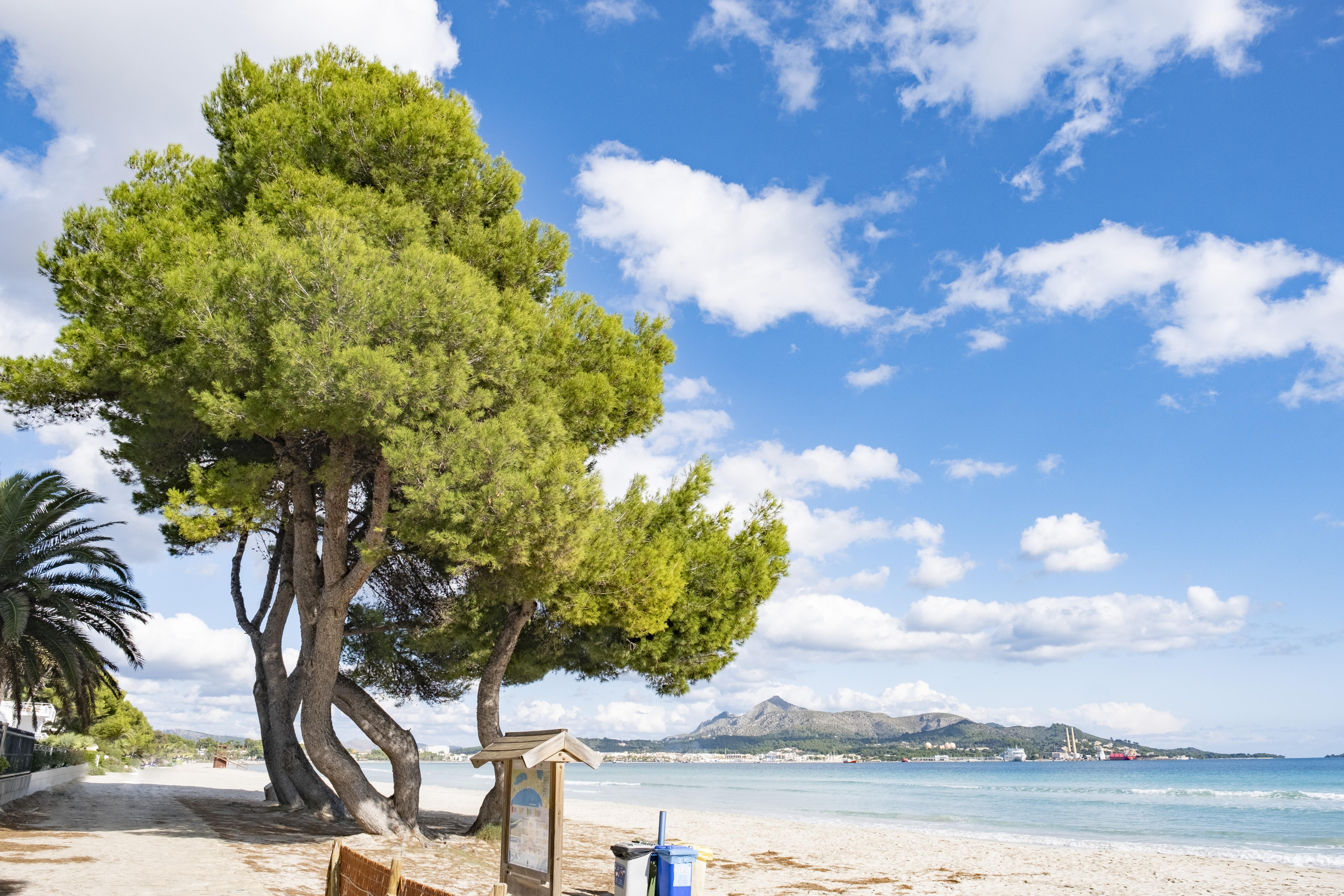 Eix Platja Daurada Hotel & Spa Can Picafort  Buitenkant foto